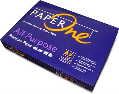 Paper One A3 Sheet